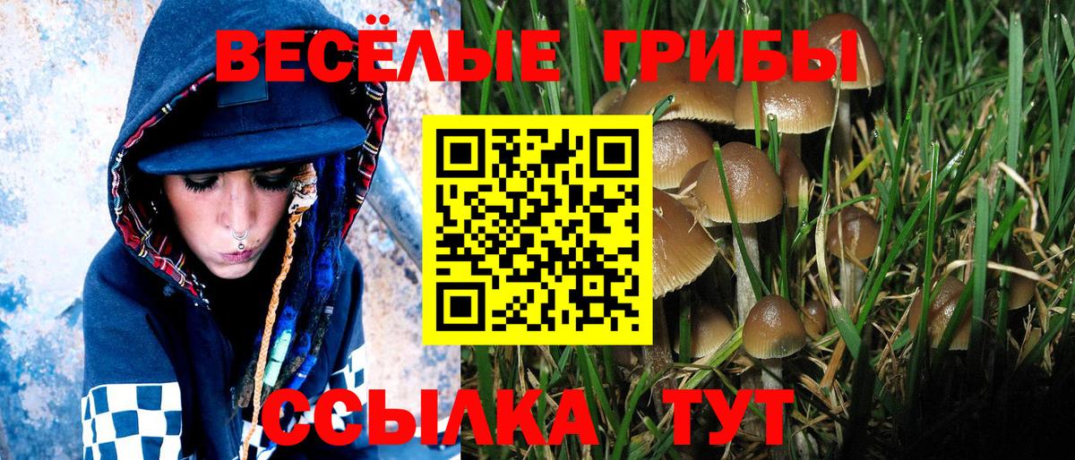Галлюциногенные грибы GOLDEN TEACHER Псков